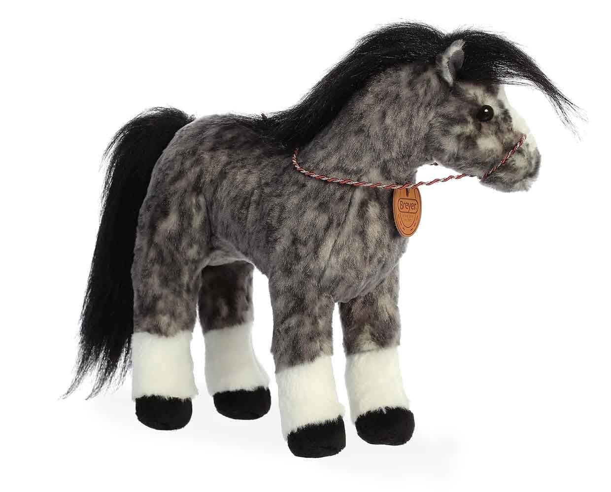 13" Andalusian | Showstoppers - Image 3