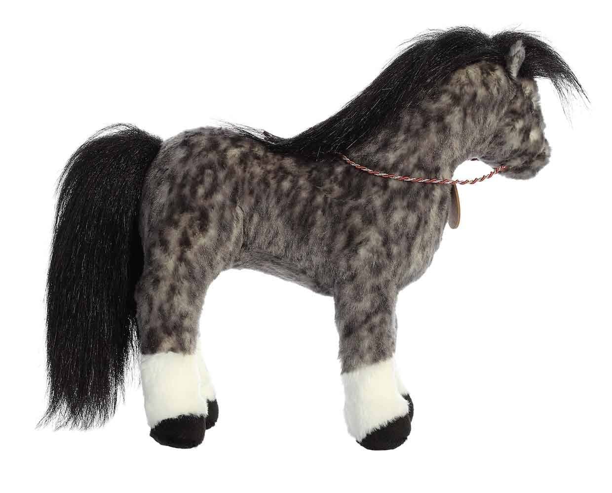 13" Andalusian | Showstoppers - Image 5