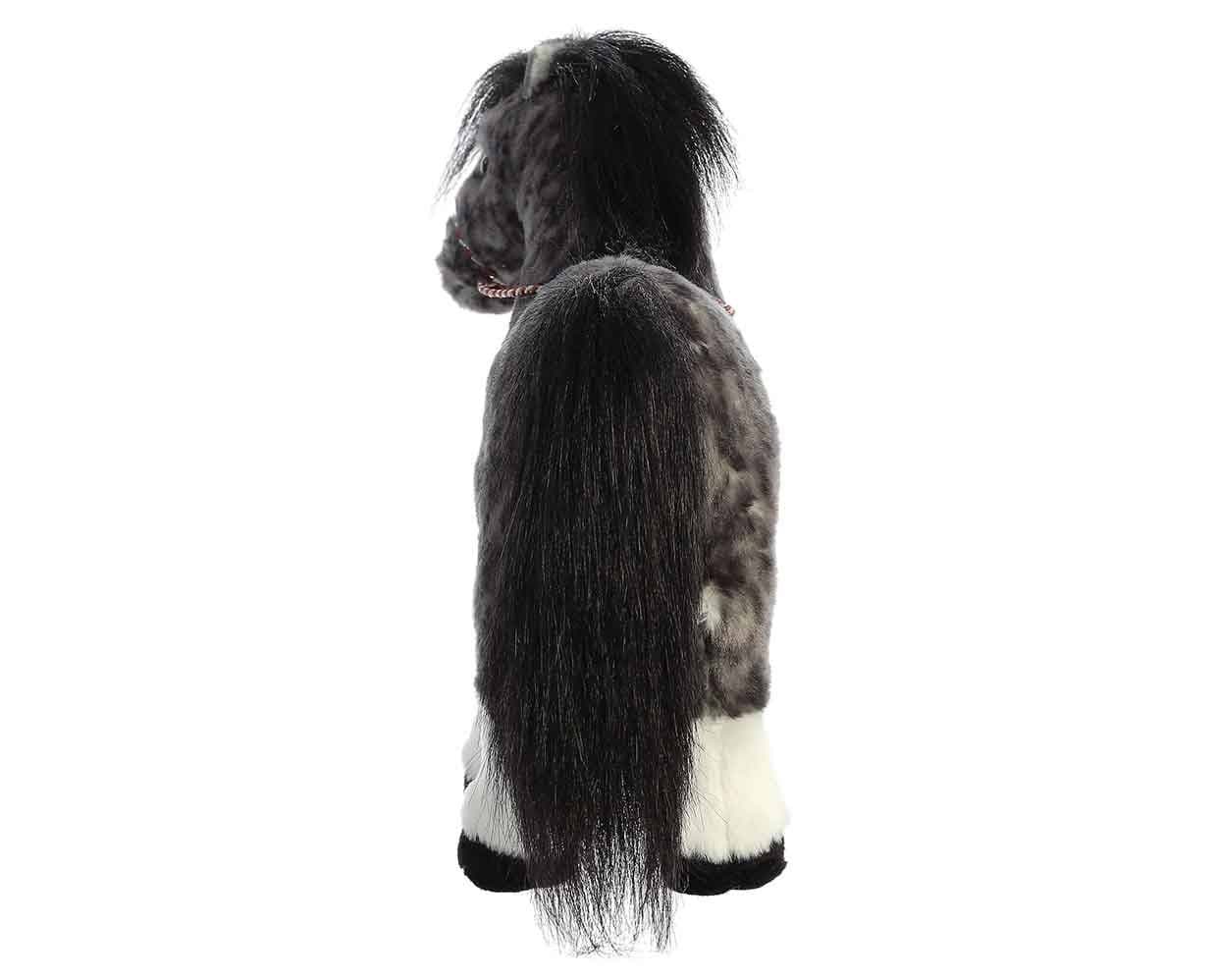 13" Andalusian | Showstoppers - Image 6