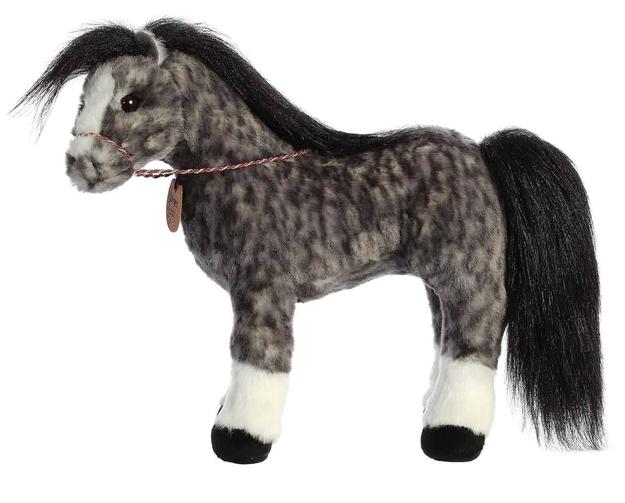 13" Andalusian | Showstoppers - Image 7