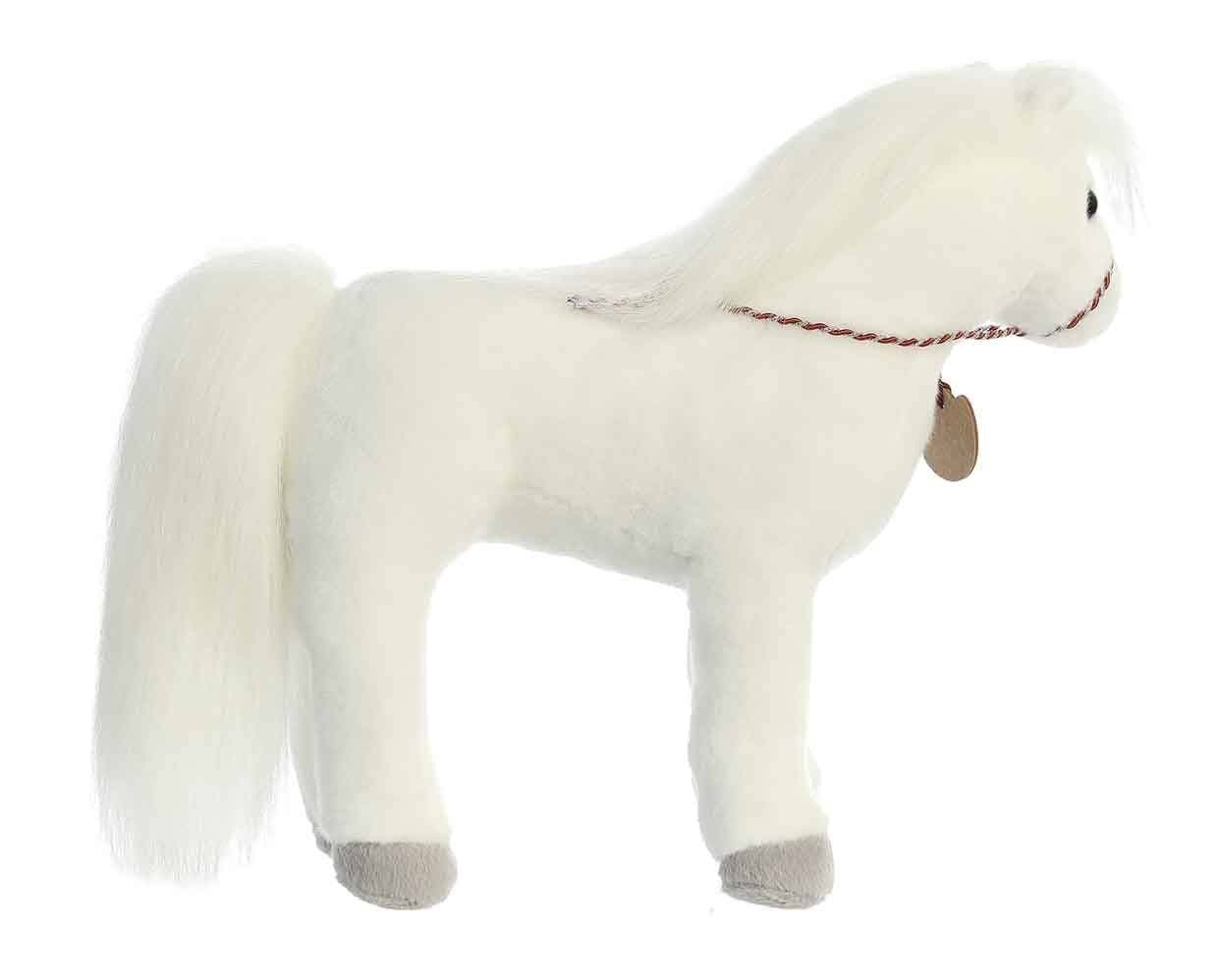 13" Arabian | Showstoppers - Image 4
