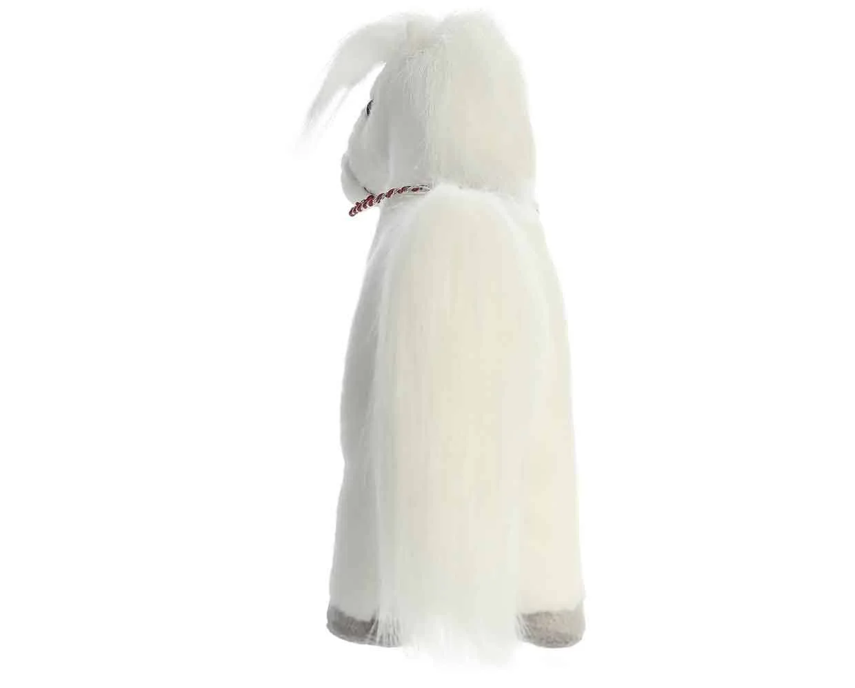 13" Arabian | Showstoppers - Image 5