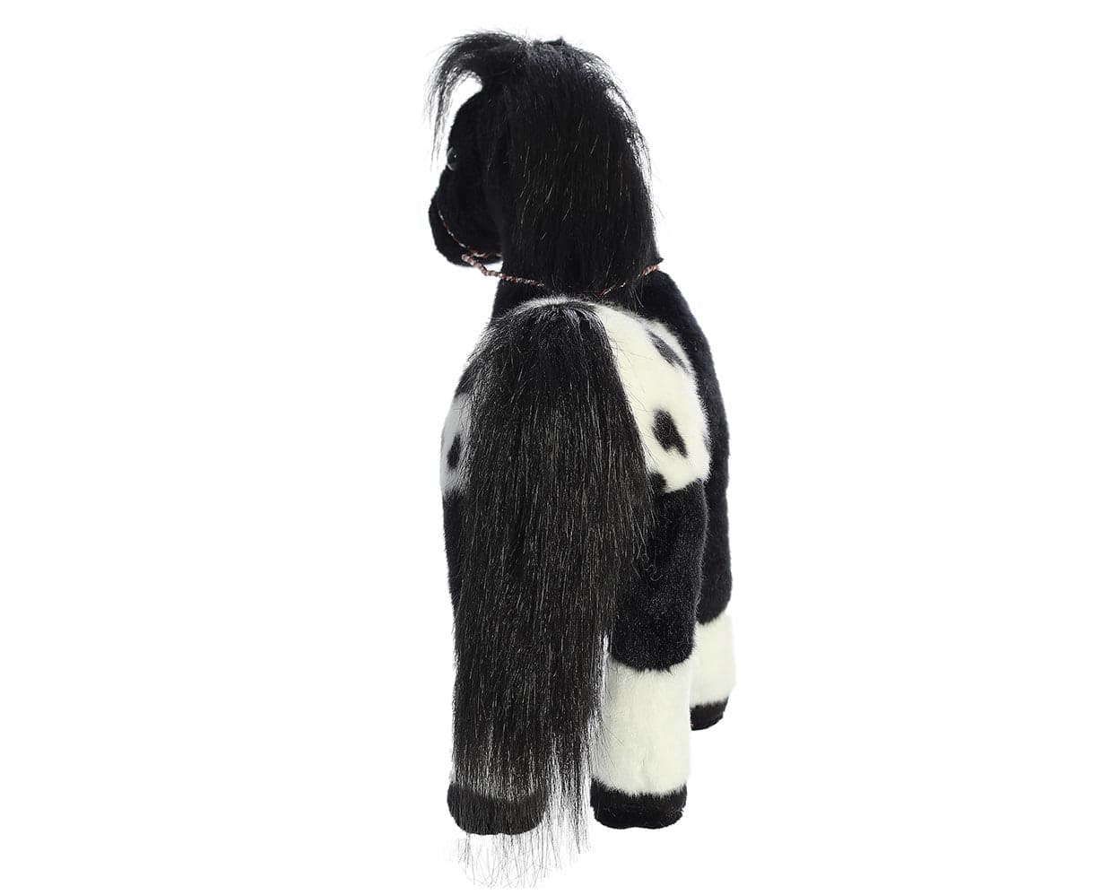 13" Black Appaloosa - Image 5