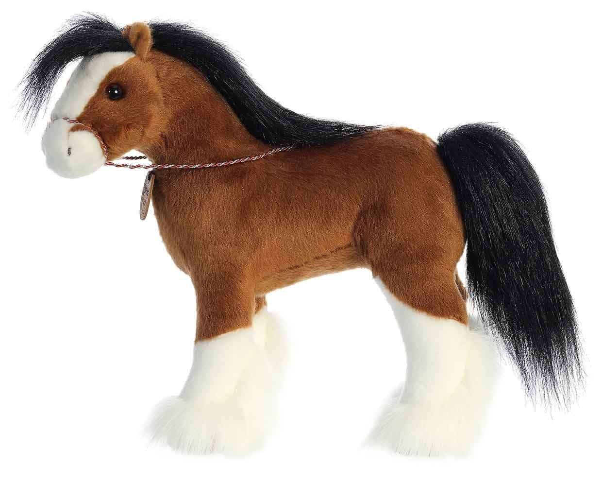 13" Clydesdale | Showstoppers - Image 3
