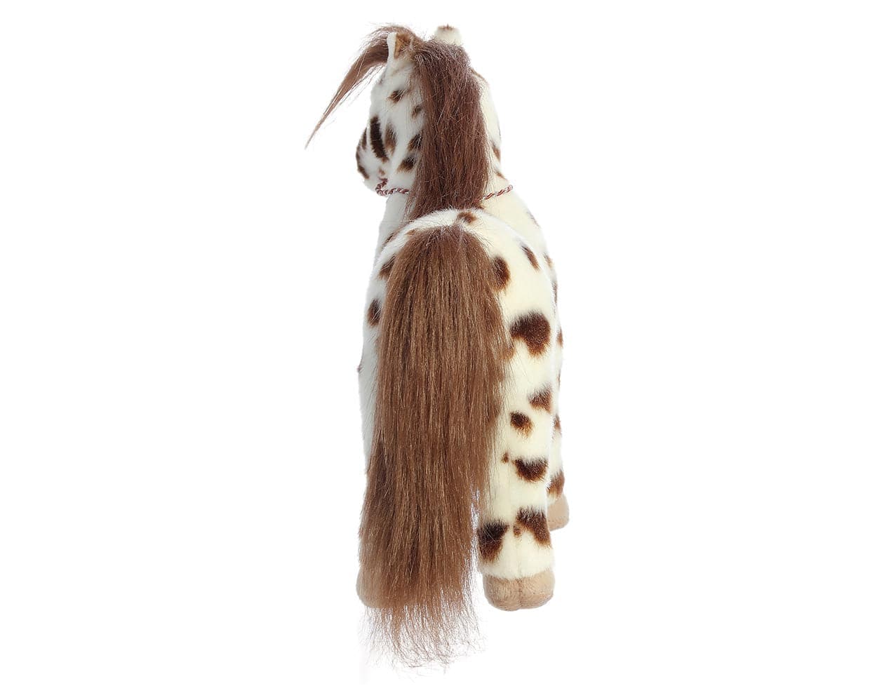 13" Knabstrupper - Image 5
