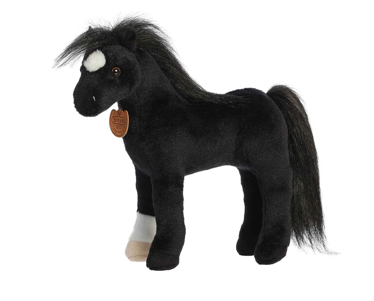 13" Thoroughbred | Showstoppers - Image 2