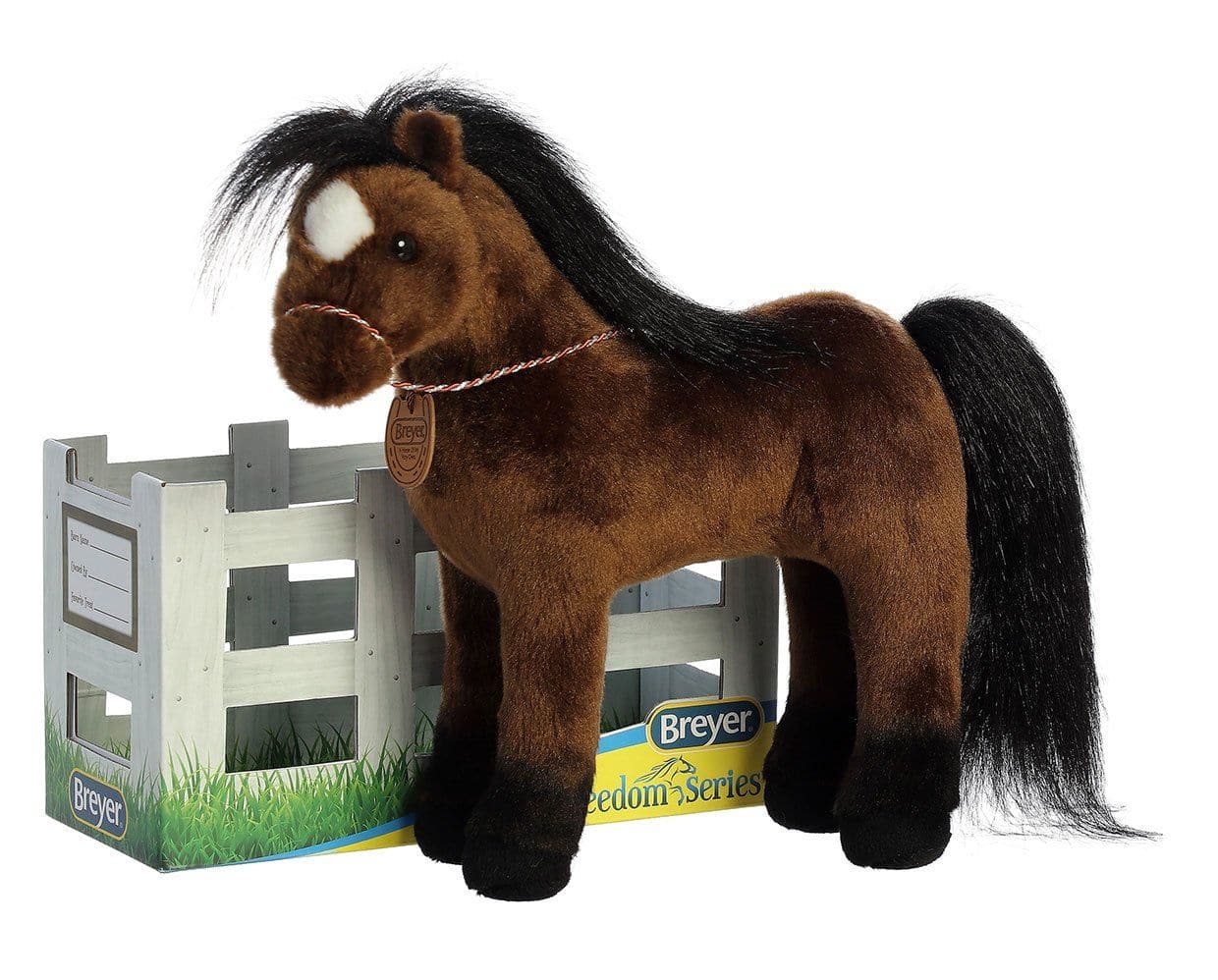 13" Thoroughbred | Showstoppers