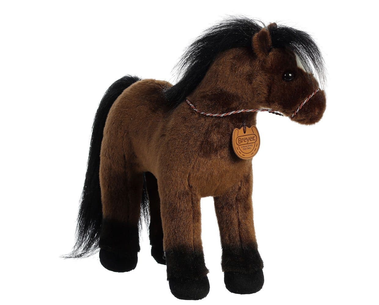 13" Thoroughbred | Showstoppers - Image 2