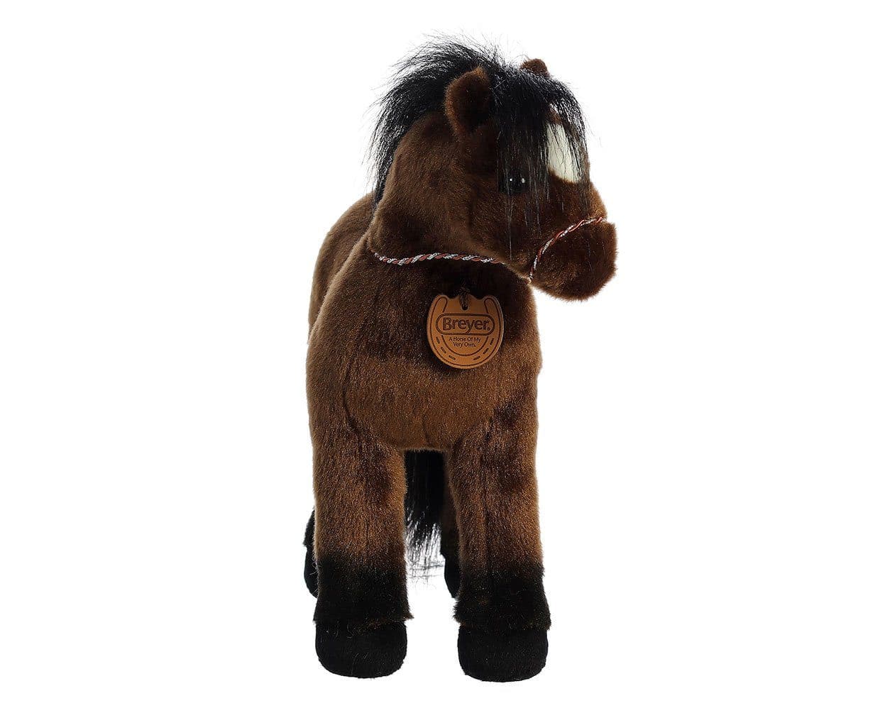 13" Thoroughbred | Showstoppers - Image 3