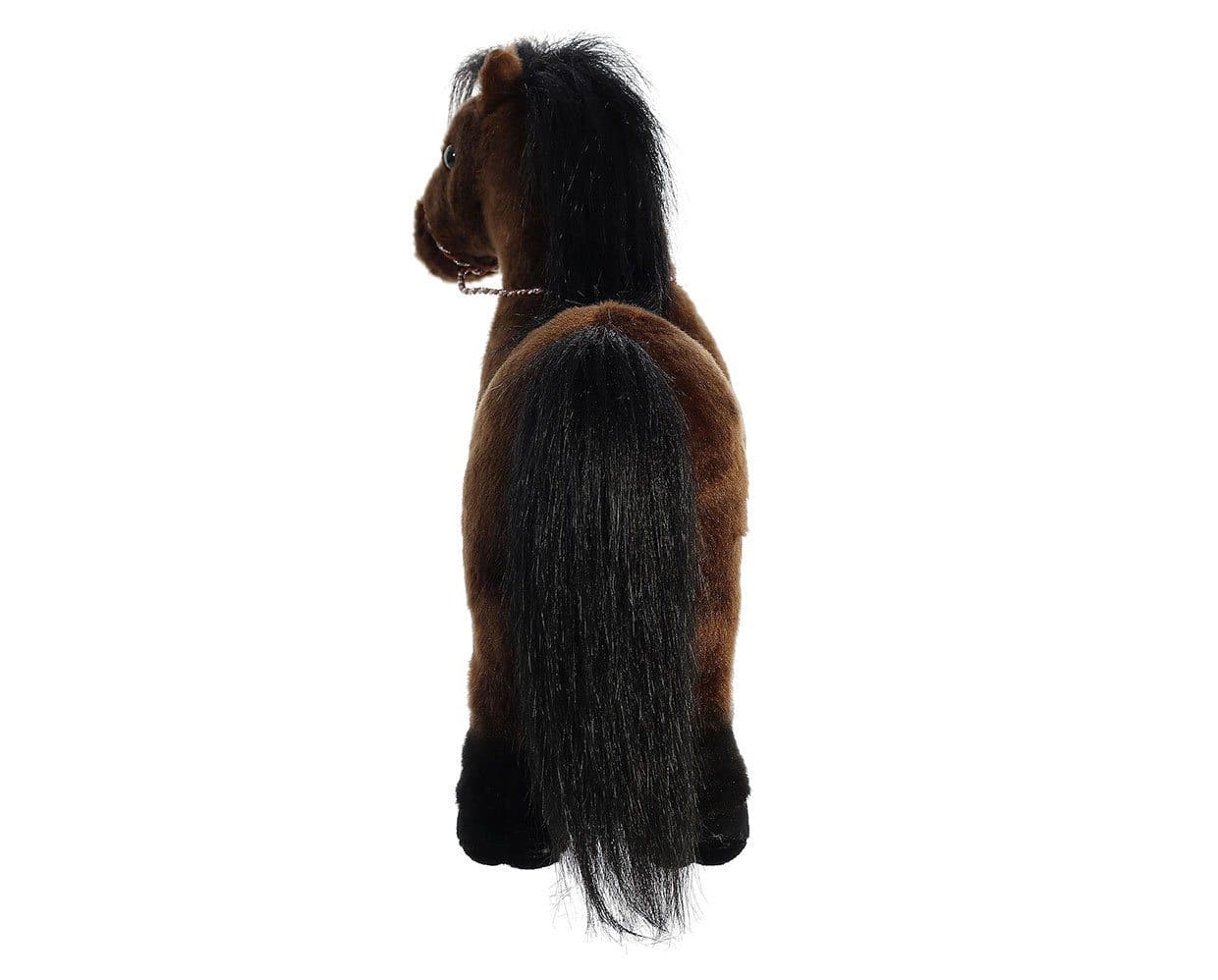 13" Thoroughbred | Showstoppers - Image 7