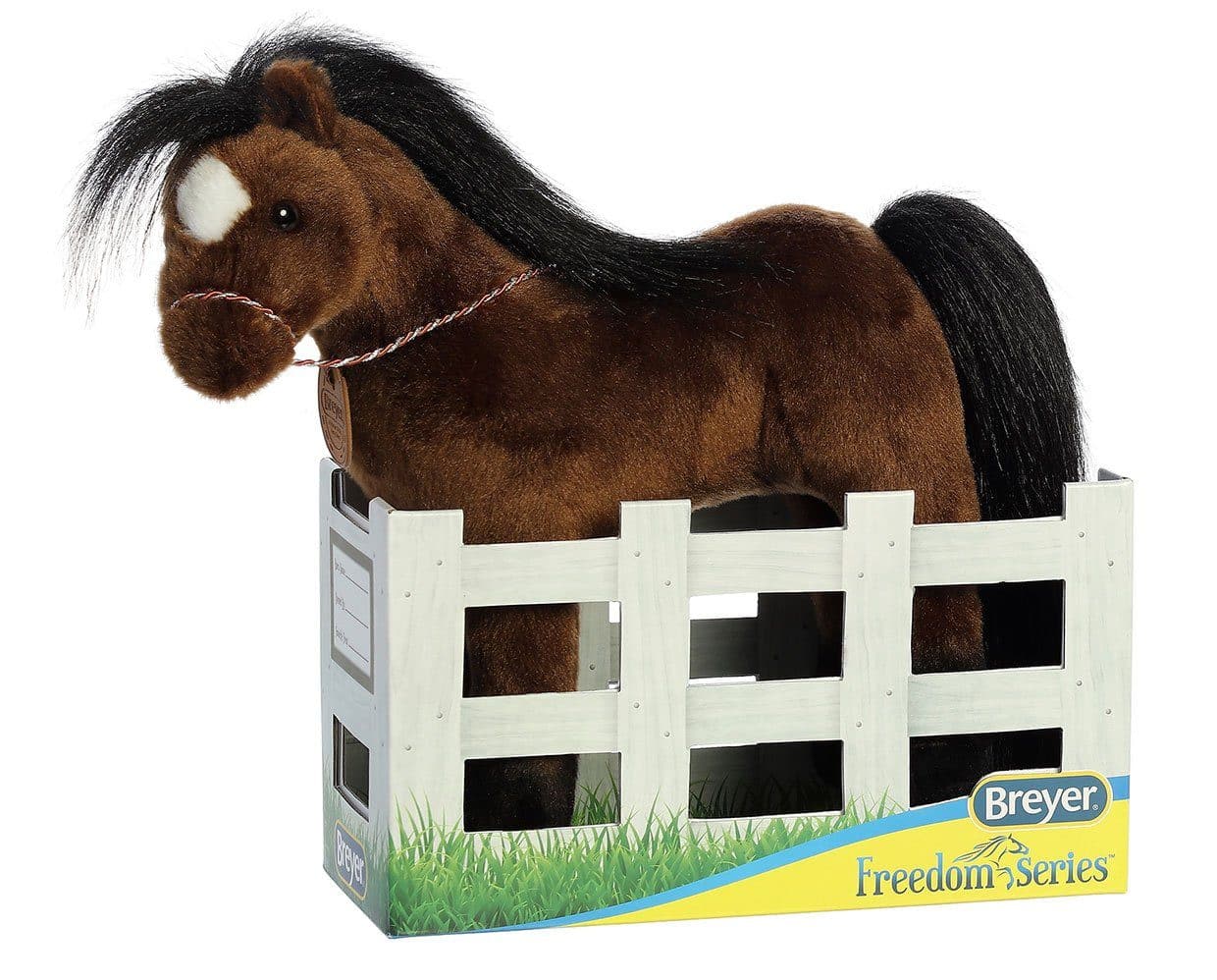 13" Thoroughbred | Showstoppers - Image 8