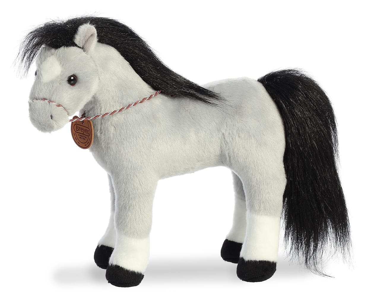 13" Welsh Cob