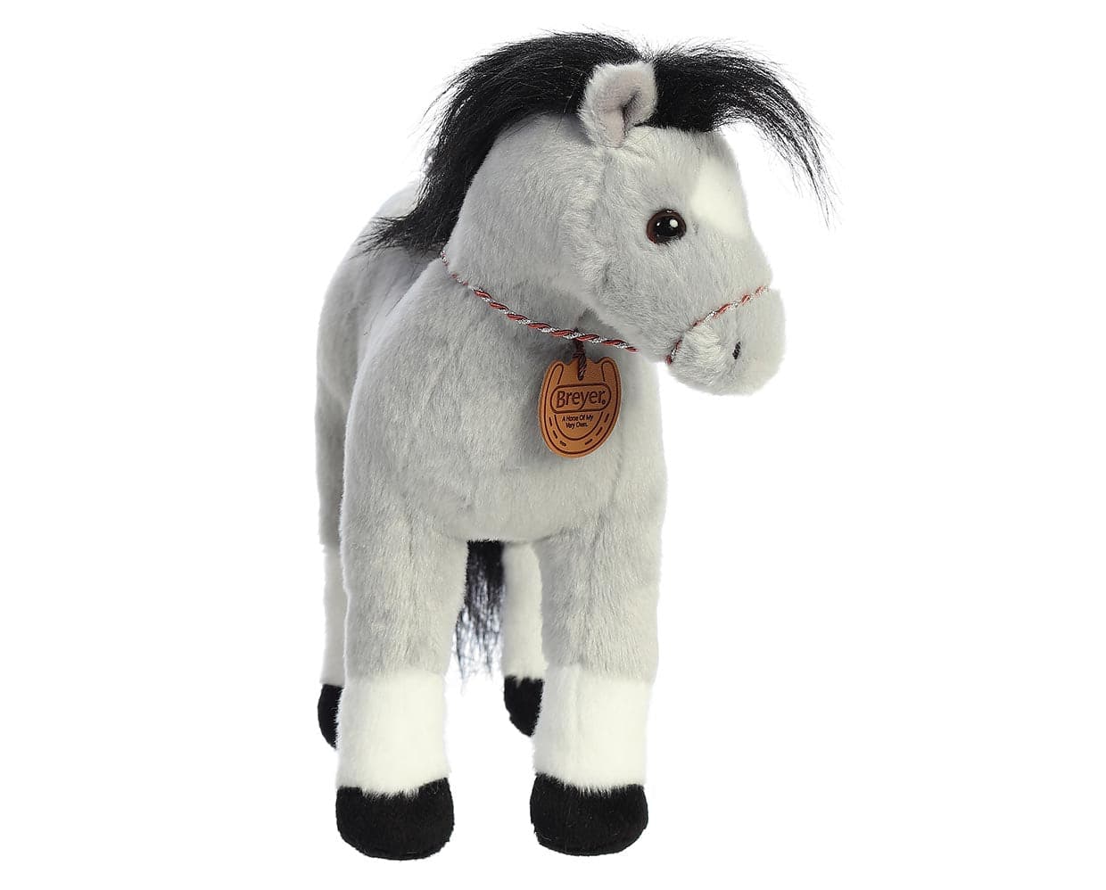 13" Welsh Cob - Image 2