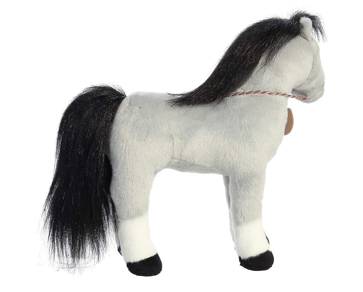 13" Welsh Cob - Image 4