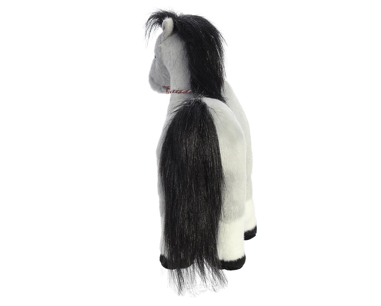 13" Welsh Cob - Image 5