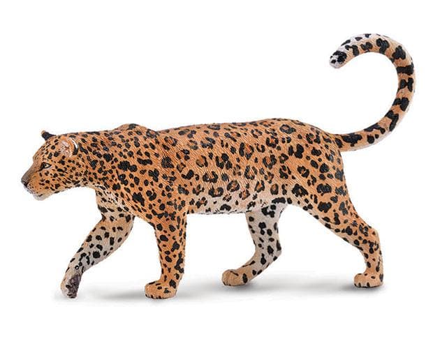 African Leopard - Image 2