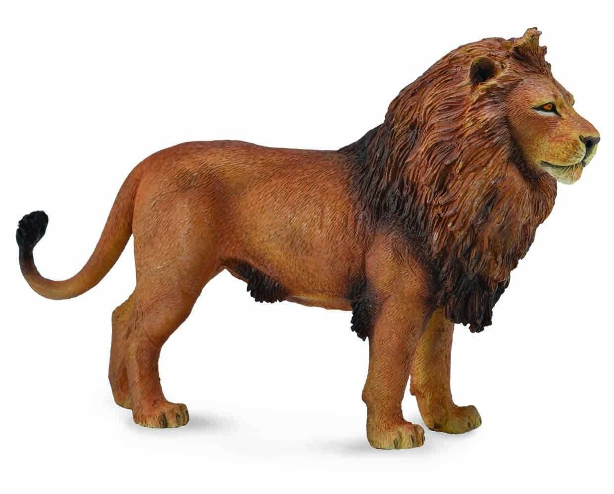 African Lion - Image 2