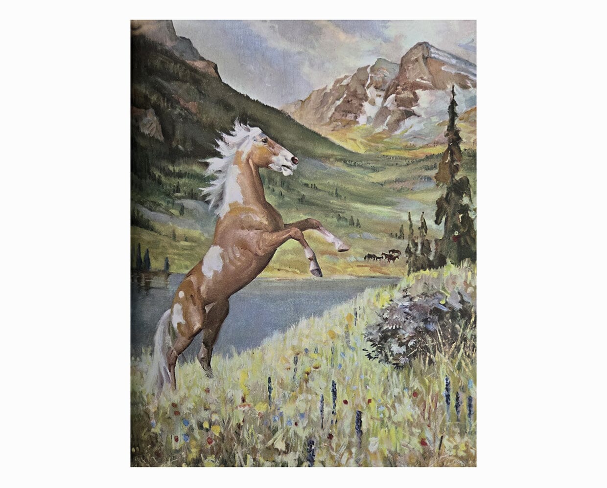 Album of Horses Book - Image 3