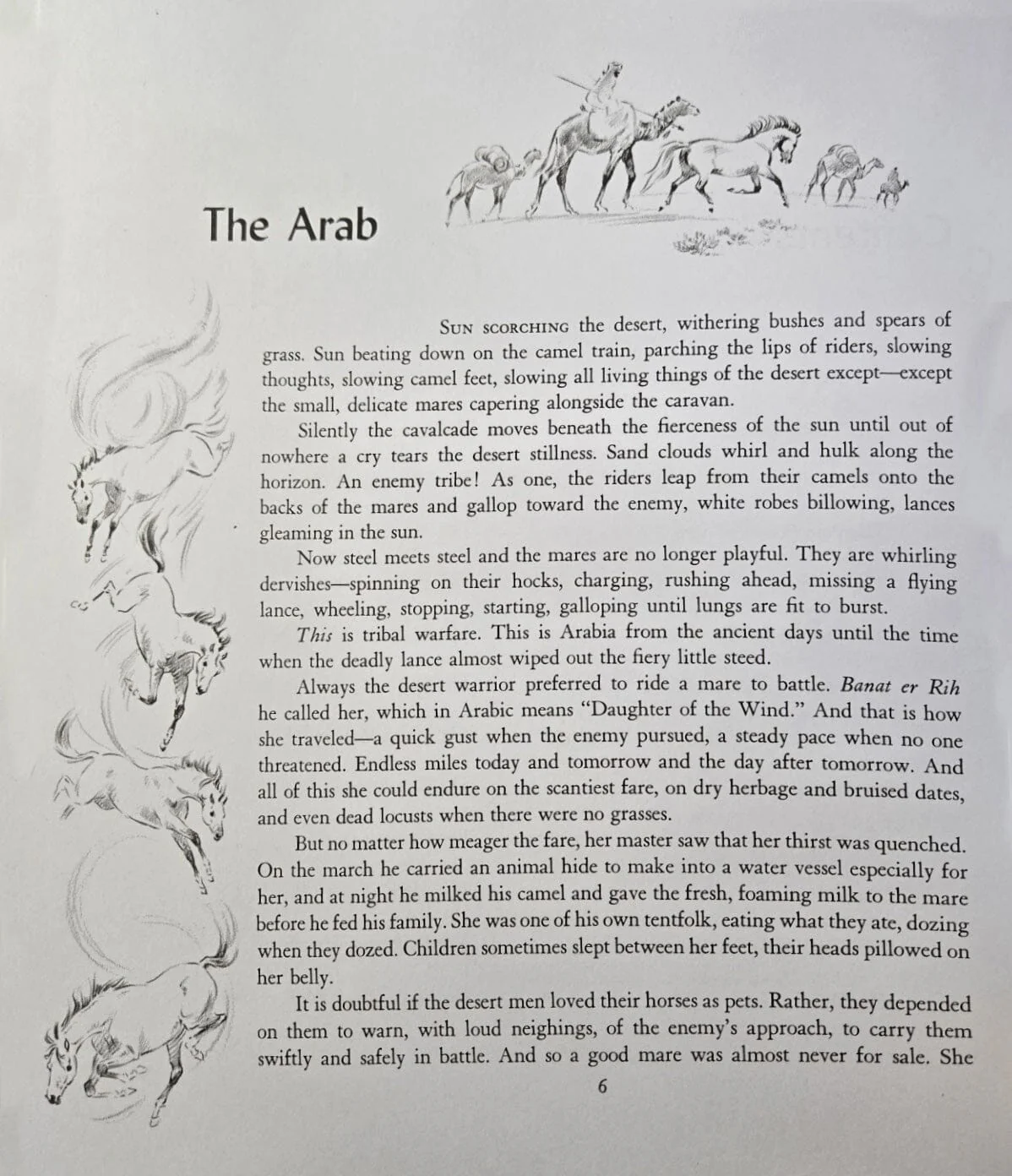 Album of Horses Book - Image 4