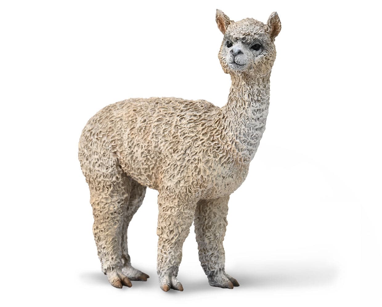 Alpaca - Image 2