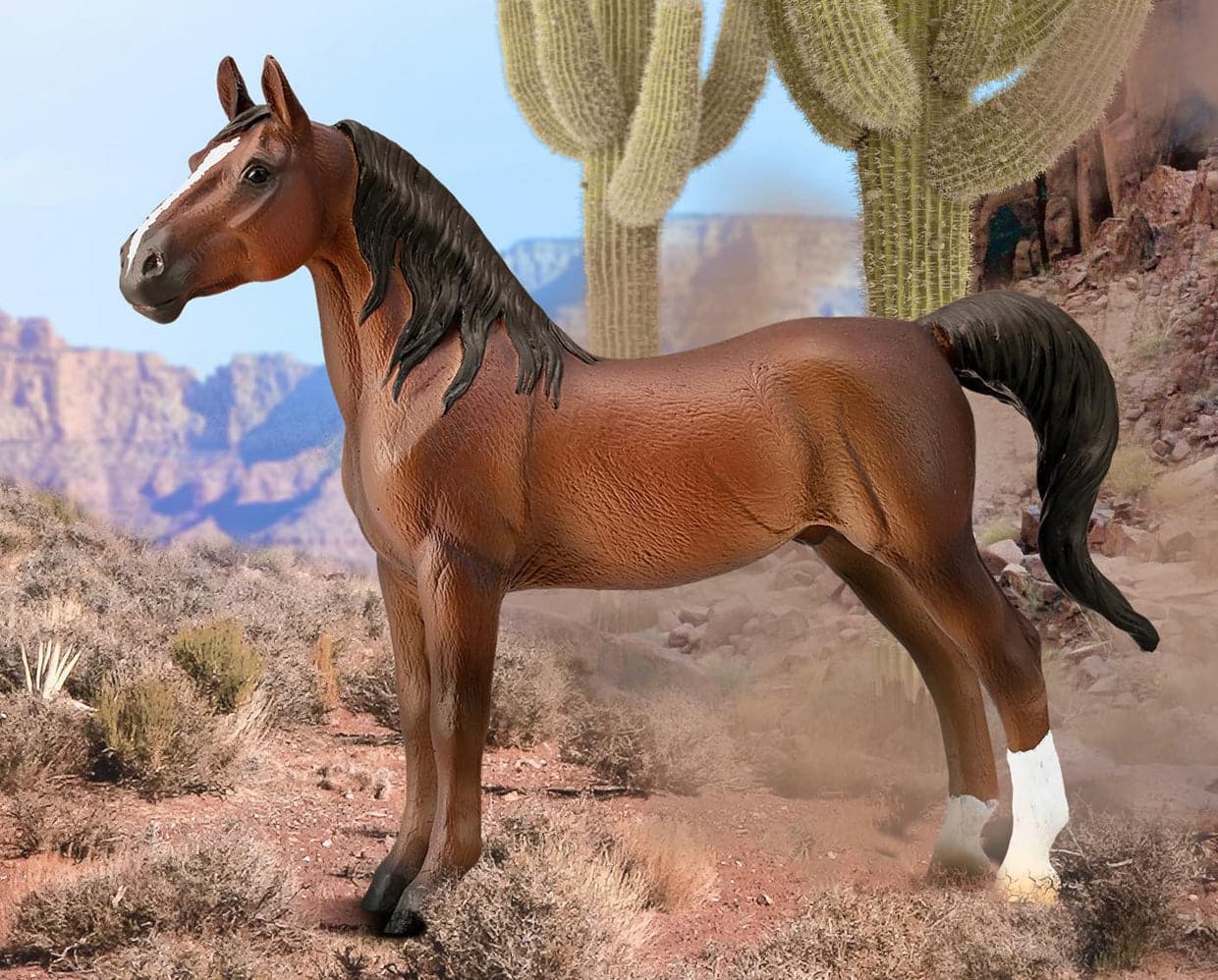 American Saddlebred Stallion | Bay