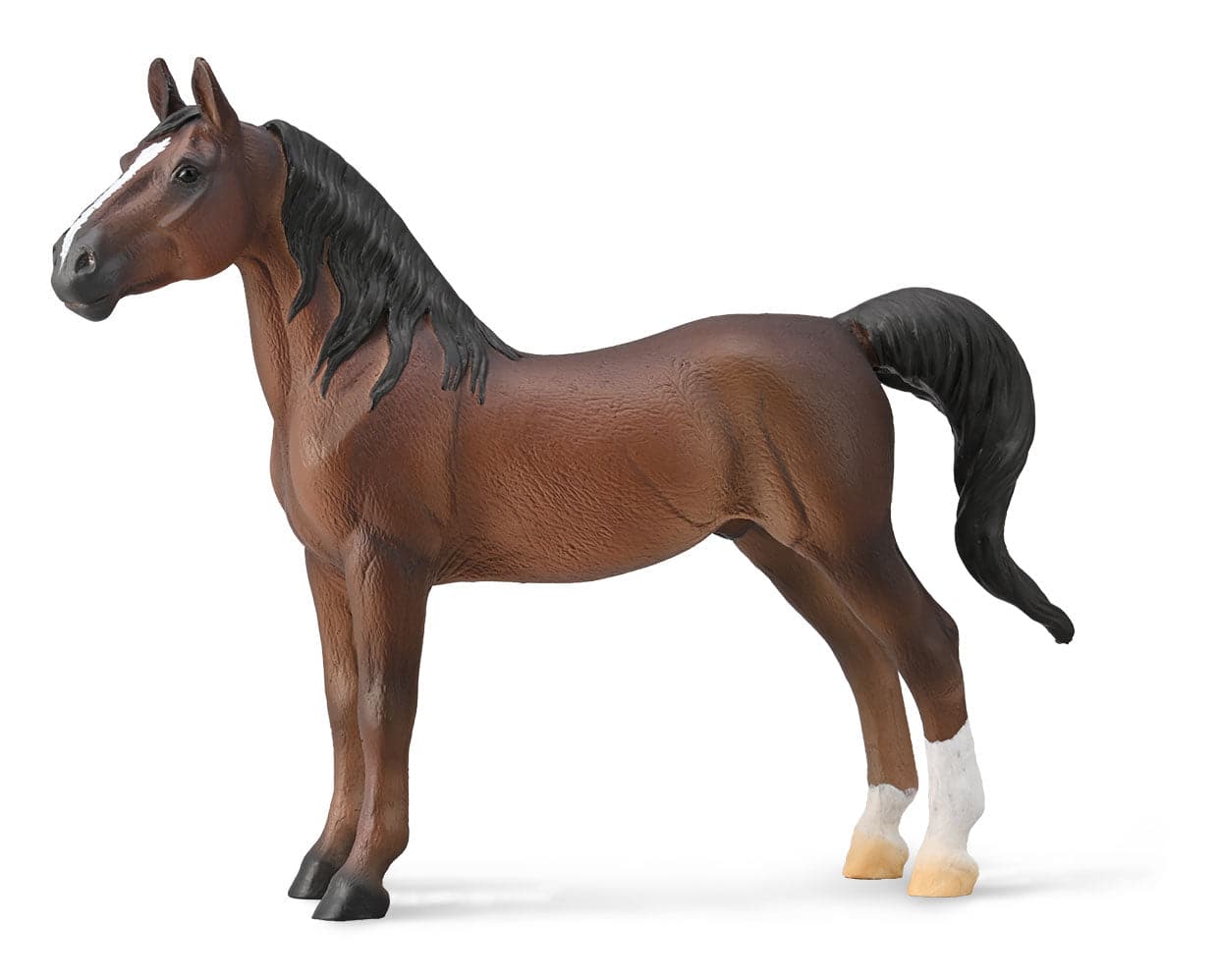 American Saddlebred Stallion | Bay - Image 2