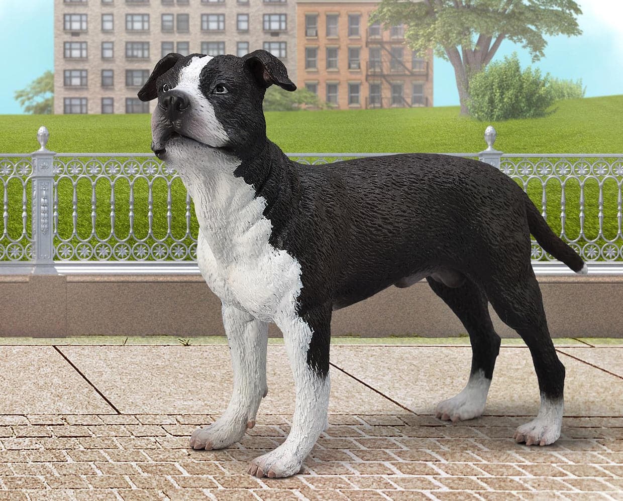 American Staffordshire