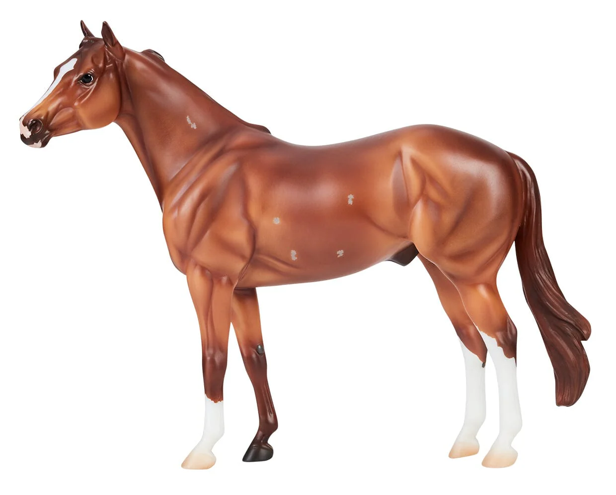 Apollitical Jess | American Quarter Horse Sprinter