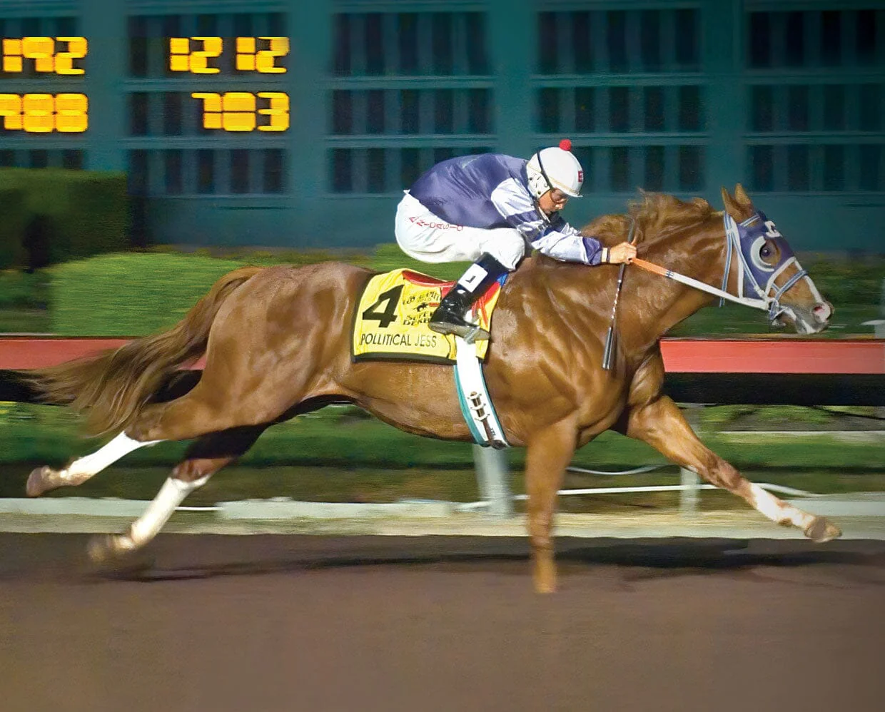 Apollitical Jess | American Quarter Horse Sprinter - Image 2