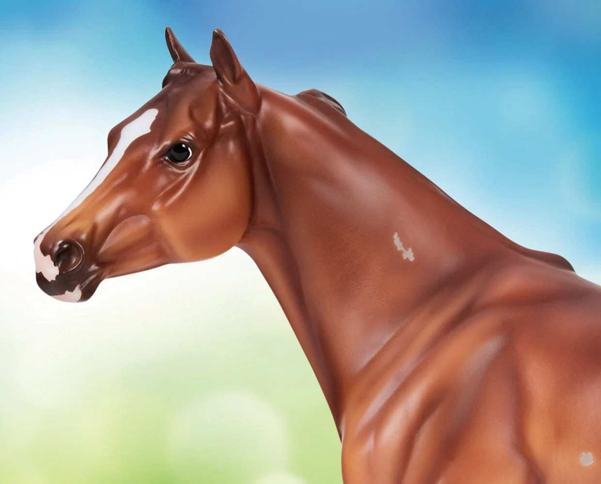 Apollitical Jess | American Quarter Horse Sprinter - Image 4