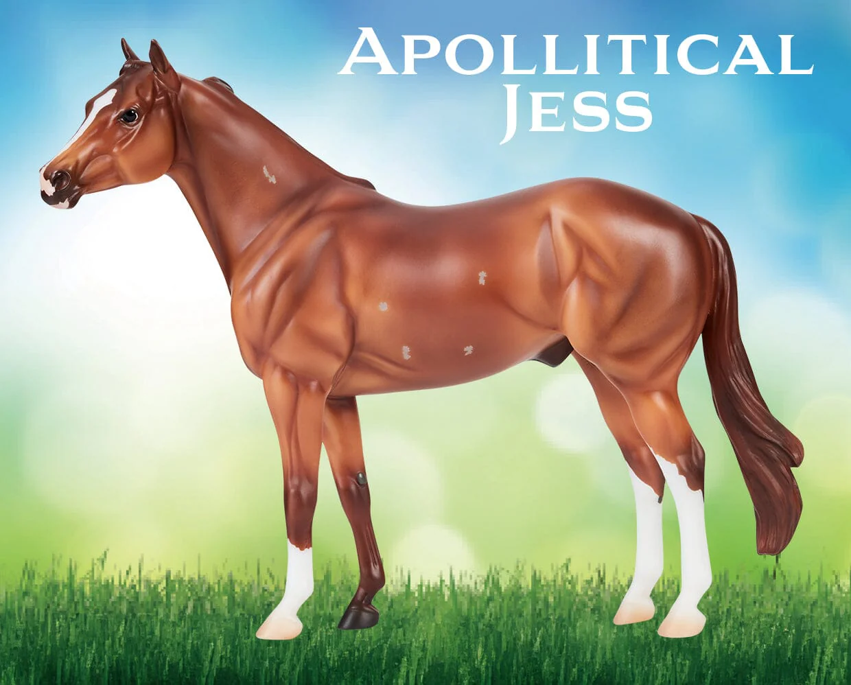 Apollitical Jess | American Quarter Horse Sprinter - Image 6