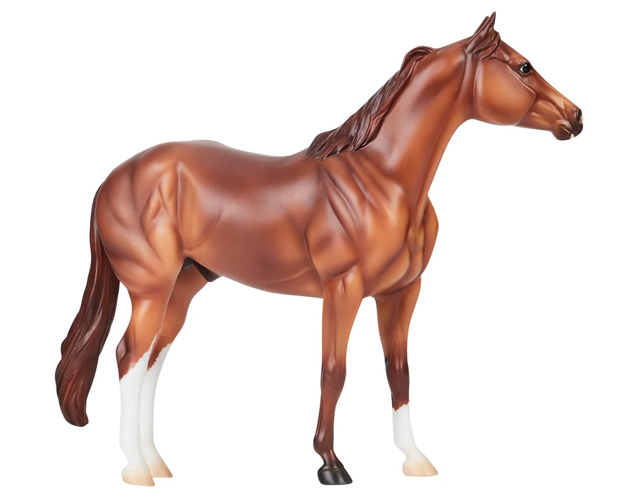 Apollitical Jess | American Quarter Horse Sprinter - Image 7