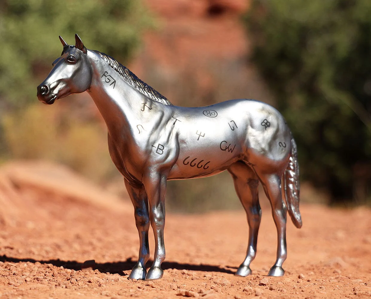 AQHA | 85th Anniversary Best Remuda - Image 2