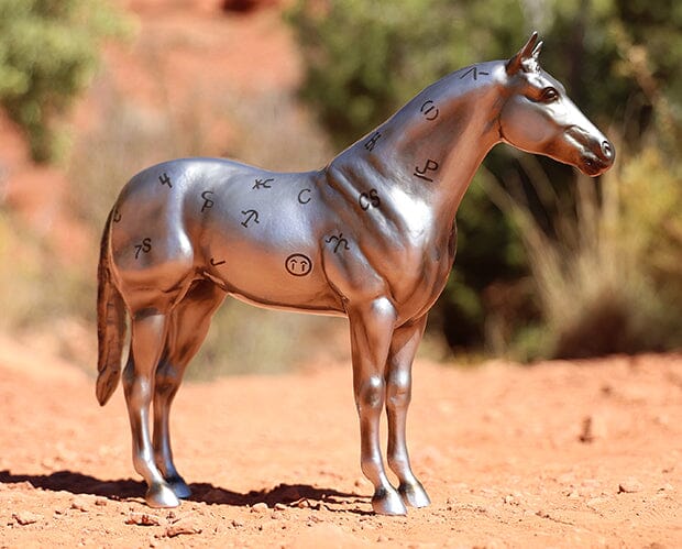 AQHA | 85th Anniversary Best Remuda - Image 3