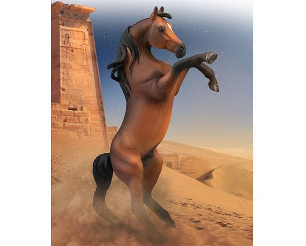 Arabian Stallion Rearing | Bay