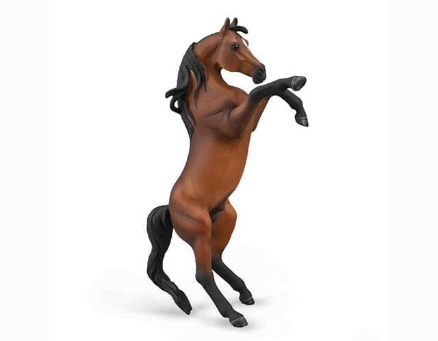 Arabian Stallion Rearing | Bay - Image 2
