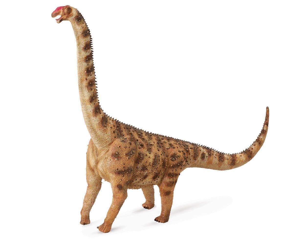 Argentinosaurus - Image 2
