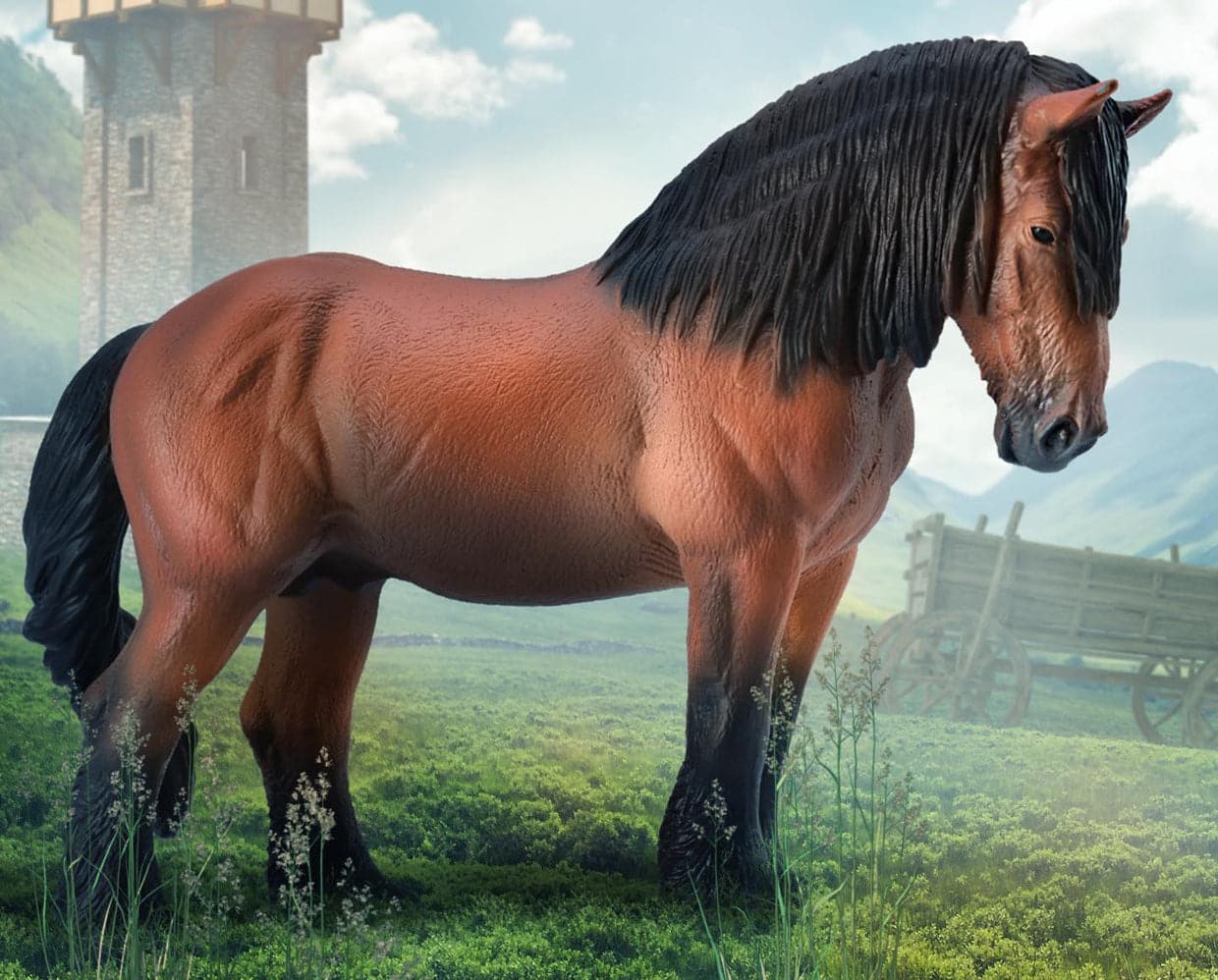Ardennes Stallion | Bay