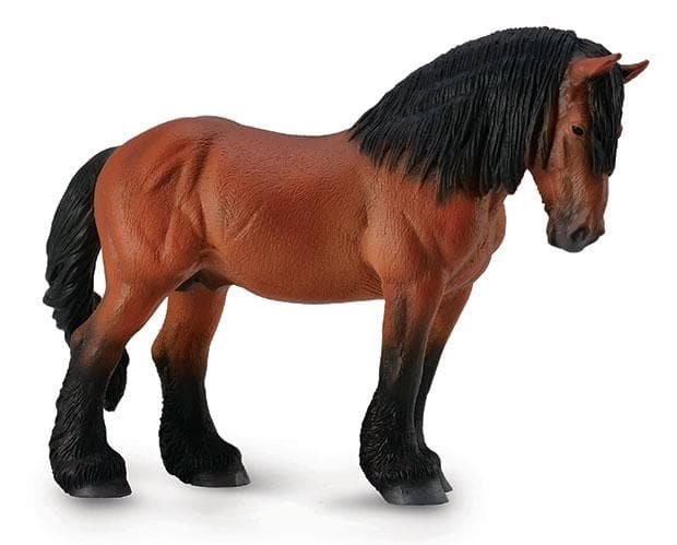 Ardennes Stallion | Bay - Image 2