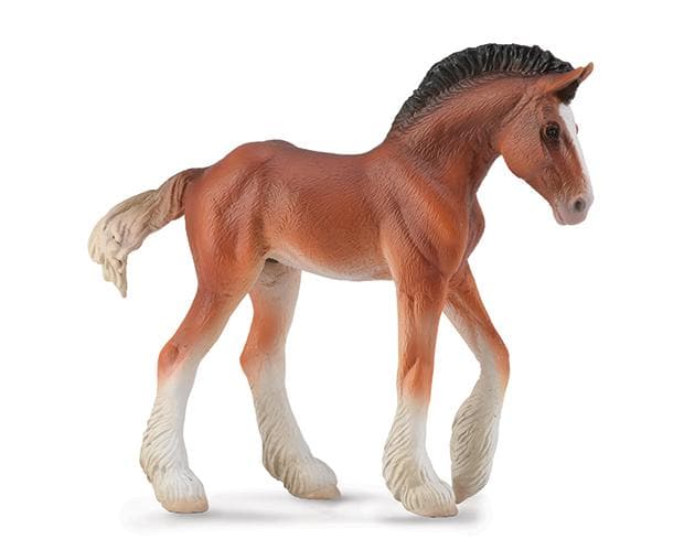 Clydesdale Foal | Bay