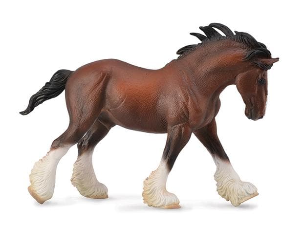 Clydesdale Stallion | Bay