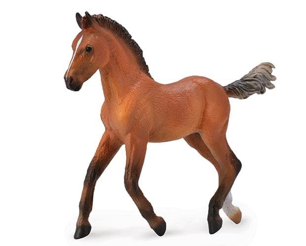 Hanoverian Foal | Bay
