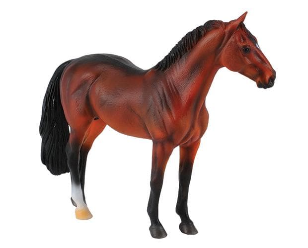 Hanoverian Stallion | Bay