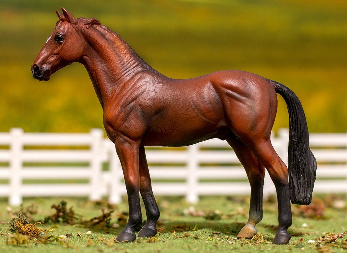 Hanoverian Stallion | Bay - Image 2