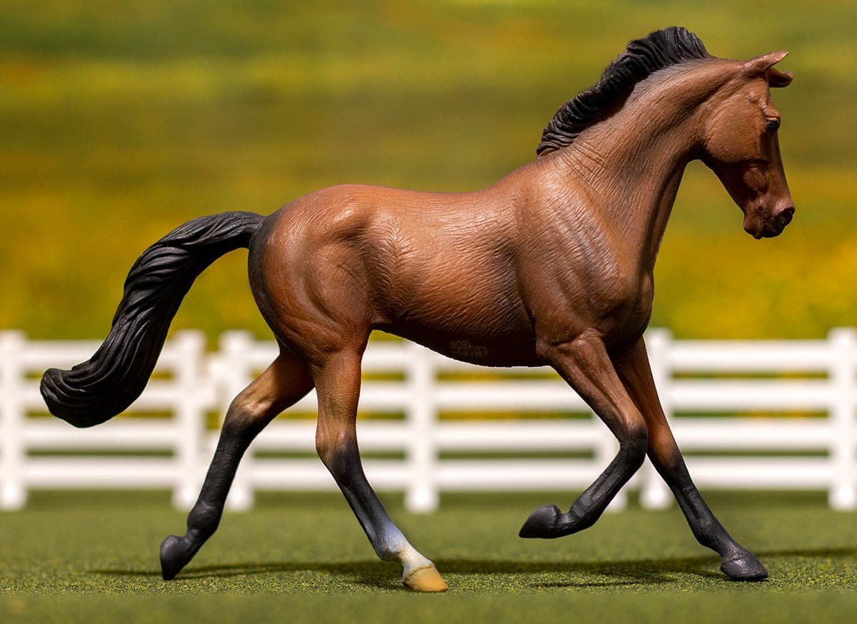Bay Thoroughbred Mare - Image 3