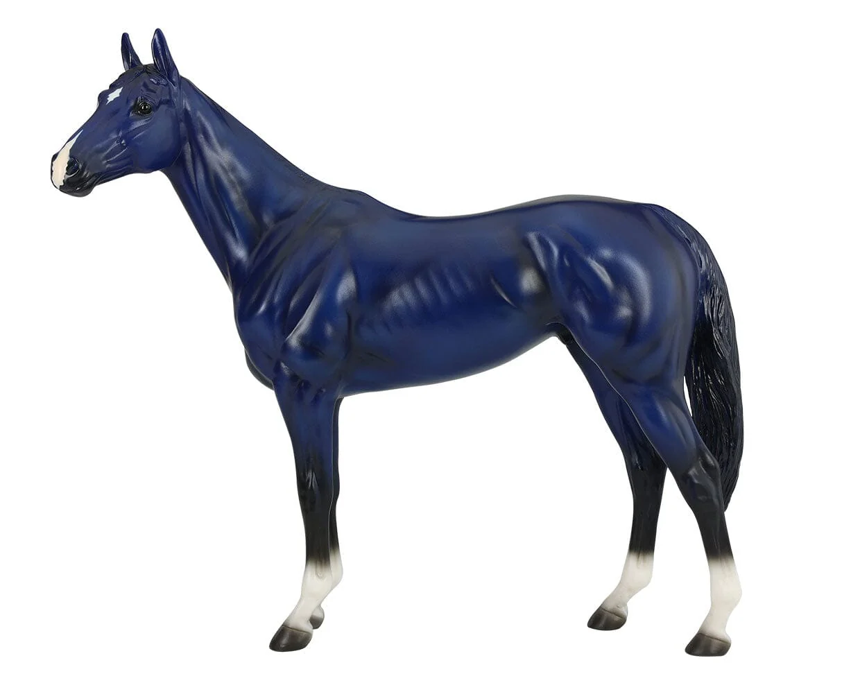 Big Lex | Decorator Thoroughbred - Image 3
