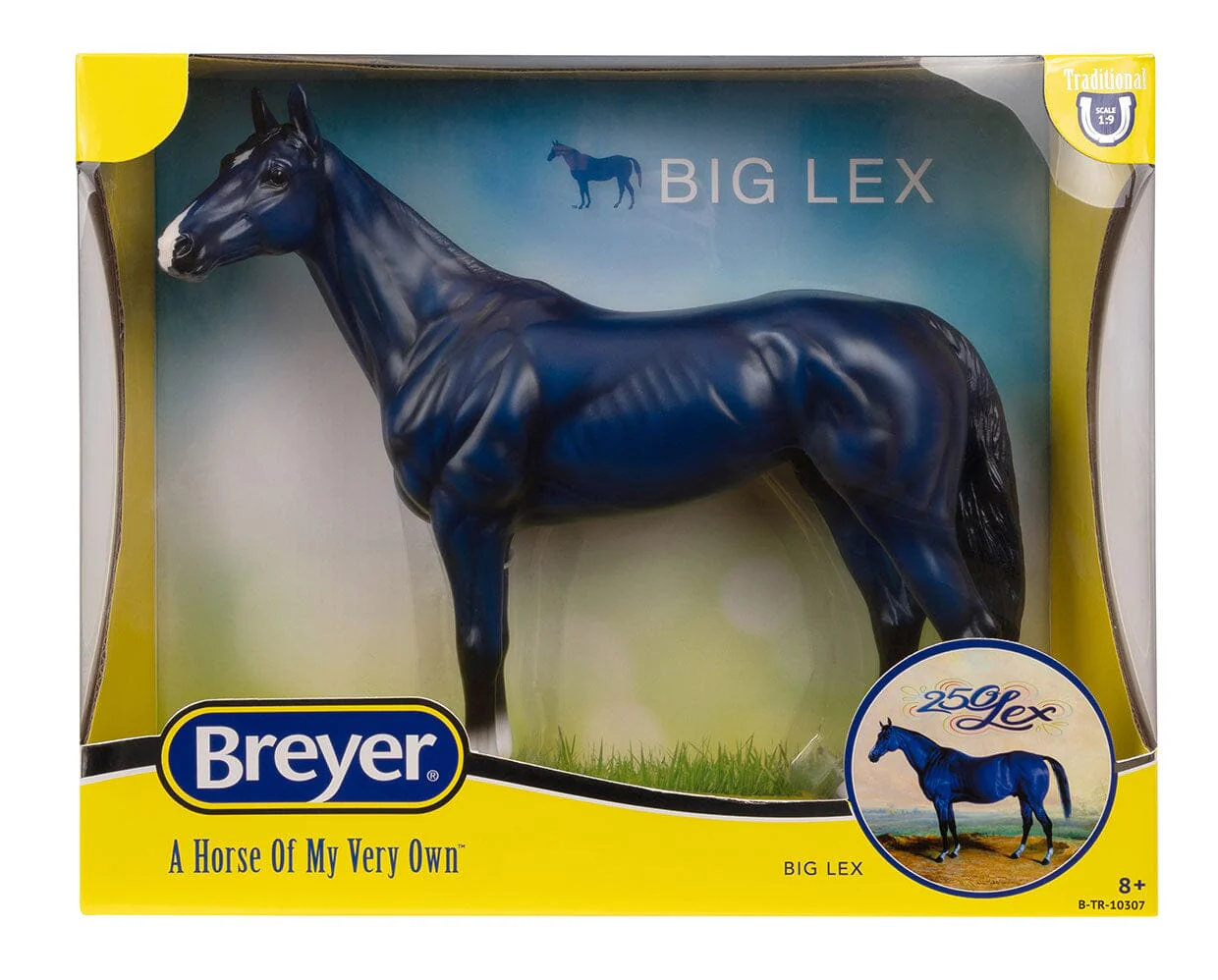 Big Lex | Decorator Thoroughbred - Image 4