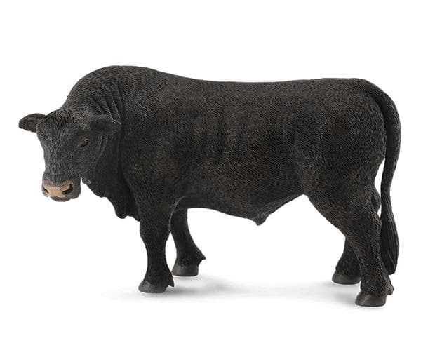 Black Angus Bull