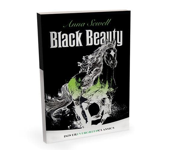 Black Beauty Horse & Book Set - Image 4
