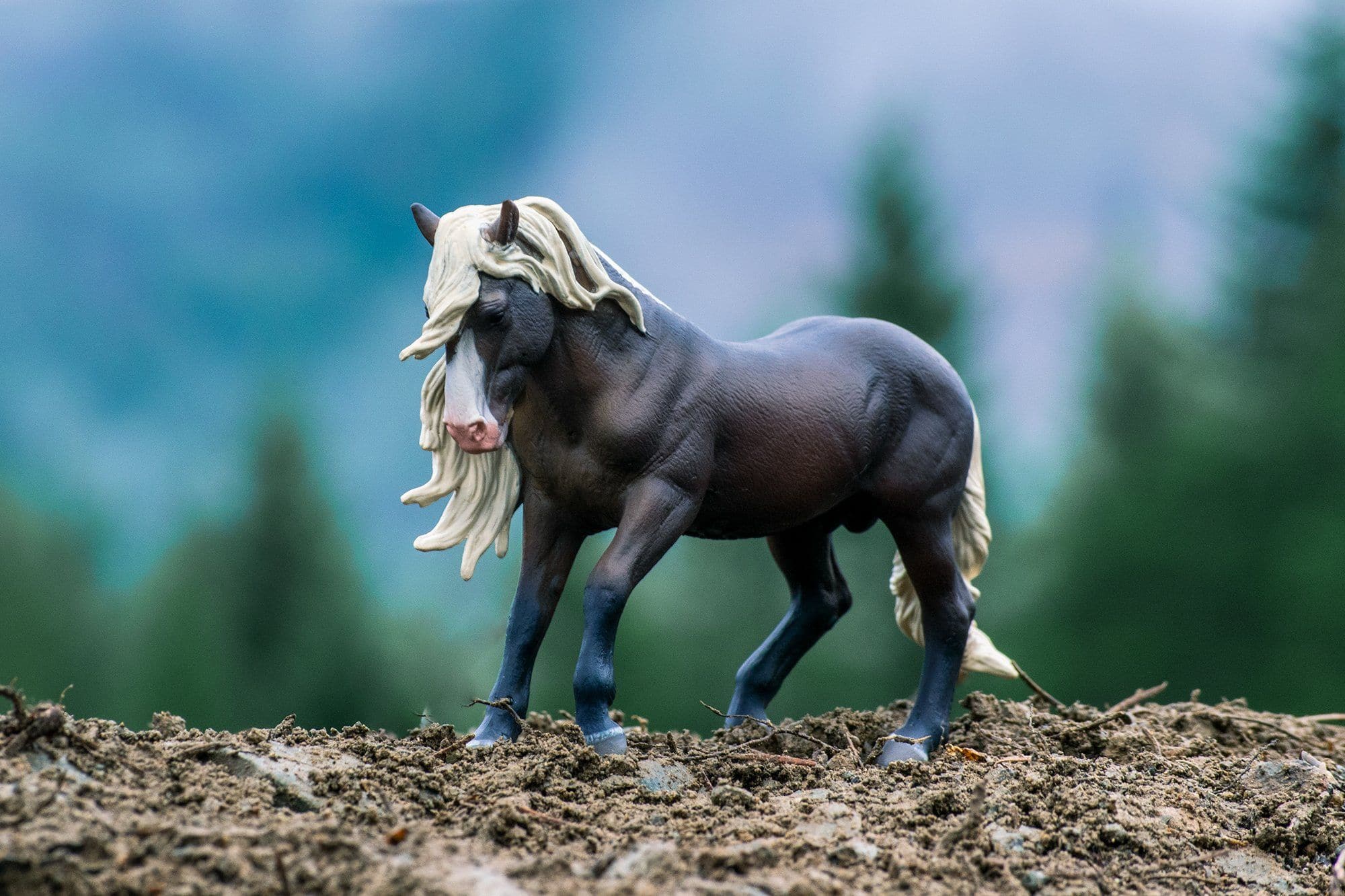 Black Forest Horse Stallion - Image 3